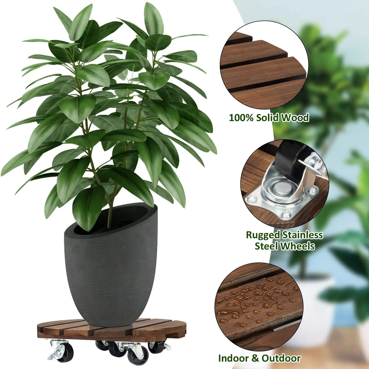 Rolling Wood Plant Caddy with Locking Wheels (2-Pack, 12")