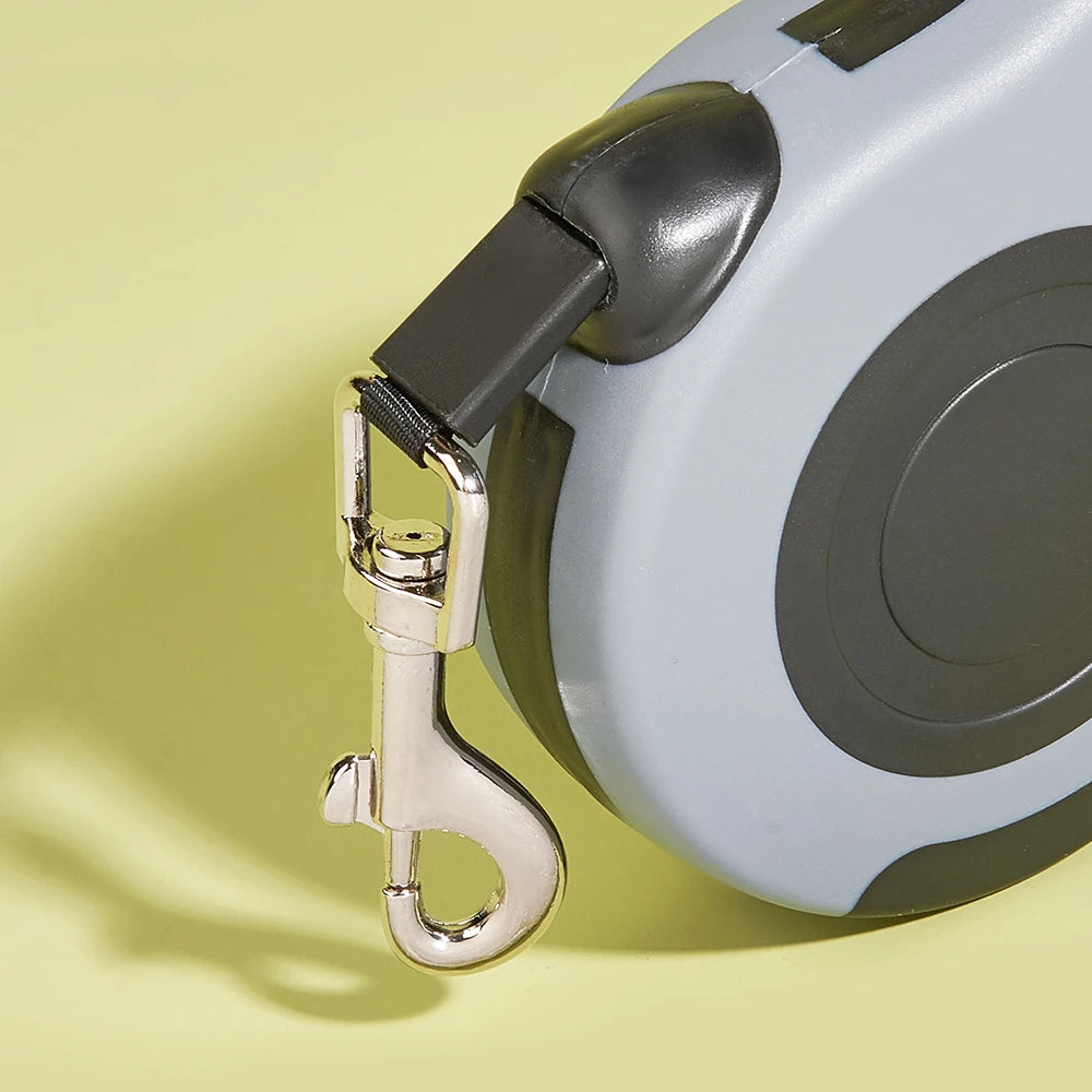 Retractable Dog Leash 10 ft – One-Button Lock