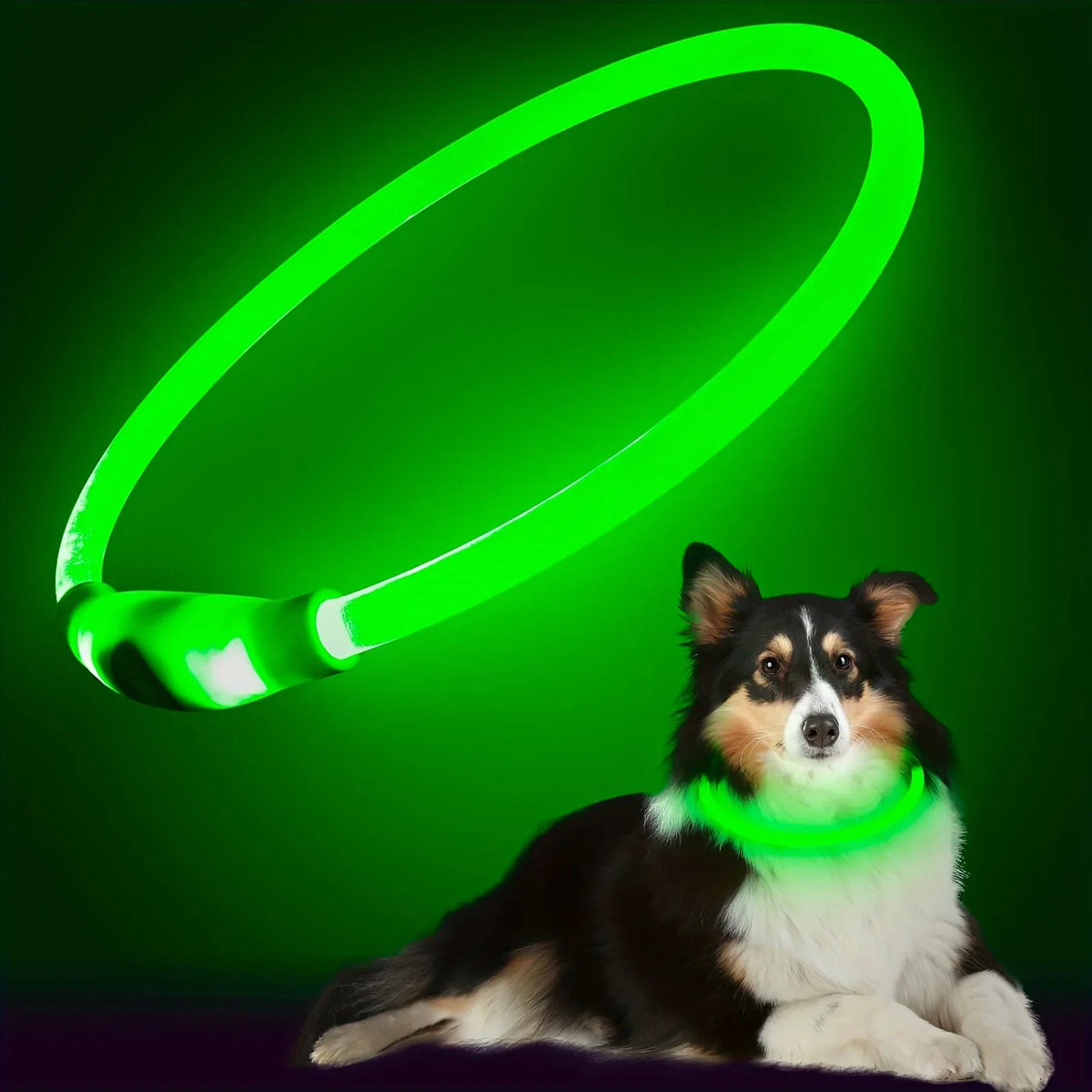 Rechargeable LED Dog Collar – Cut-to-Fit Glow Safety Ring