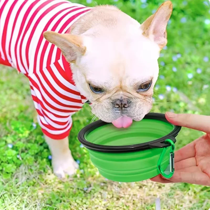 Collapsible Silicone Travel Bowl with Carabiner