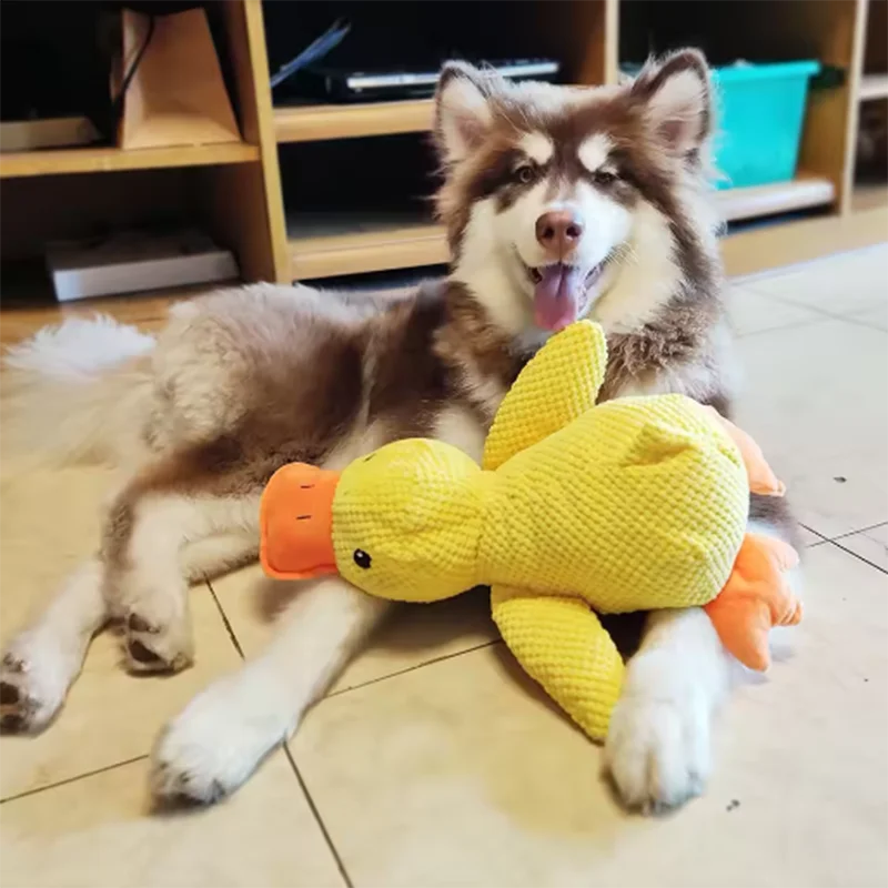 Plush Quacking Duck Dog Toy - Soft Cuddle Companion (1 Toy)
