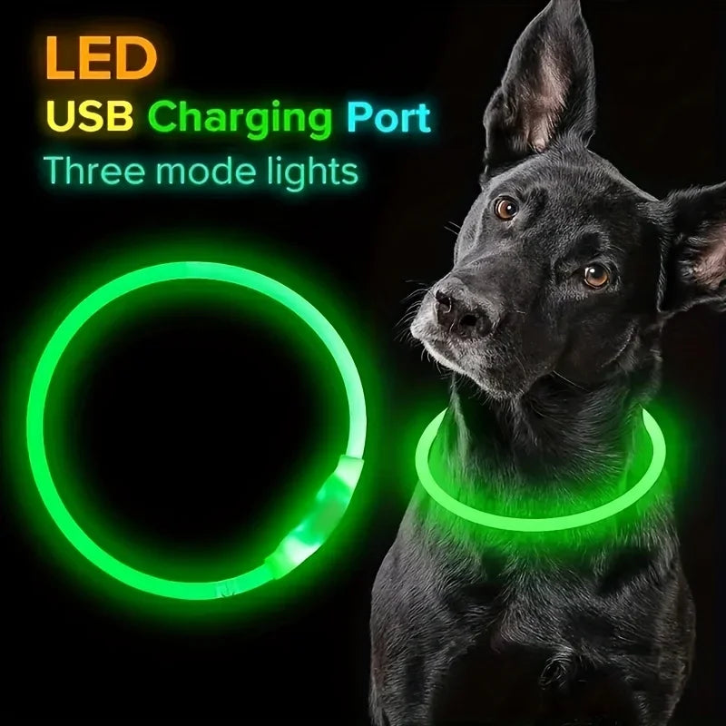 Rechargeable LED Dog Collar – Cut-to-Fit Glow Safety Ring