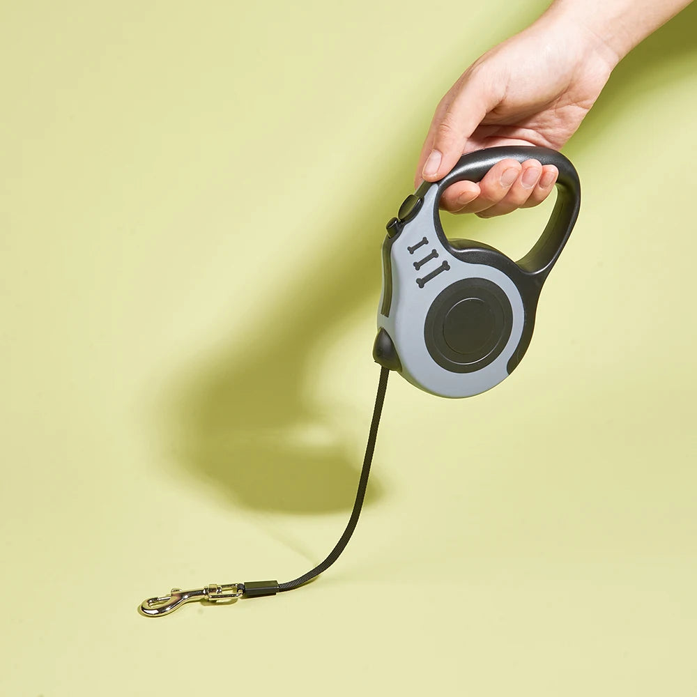 Retractable Dog Leash 10 ft – One-Button Lock