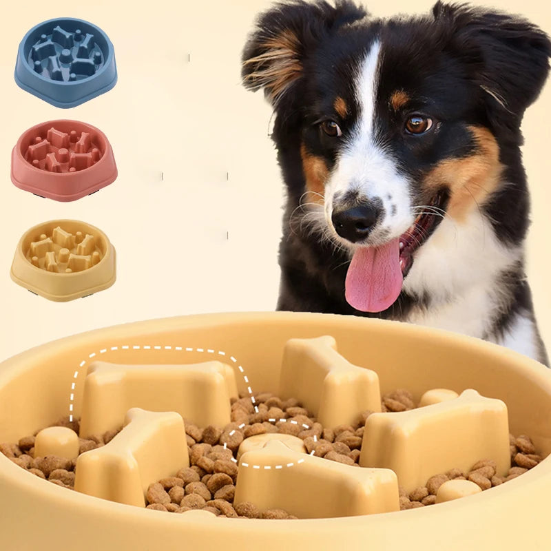 Bone Maze Slow Feeder Bowl for Dogs & Cats