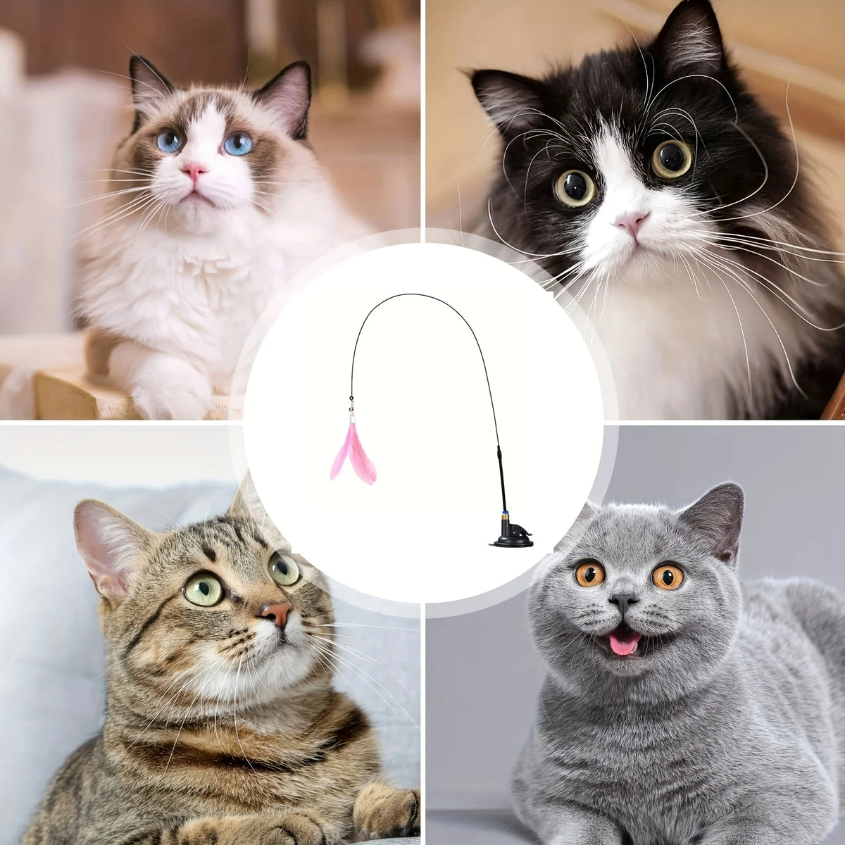 Suction Cup Cat Teaser Wand with Feather & Bell