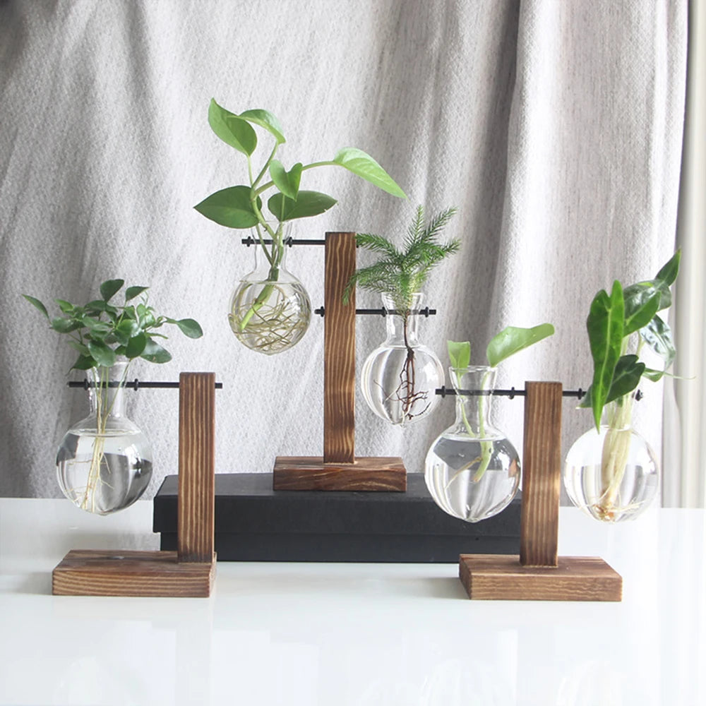 Glass Bulb Propagation Vase with Wooden Stand