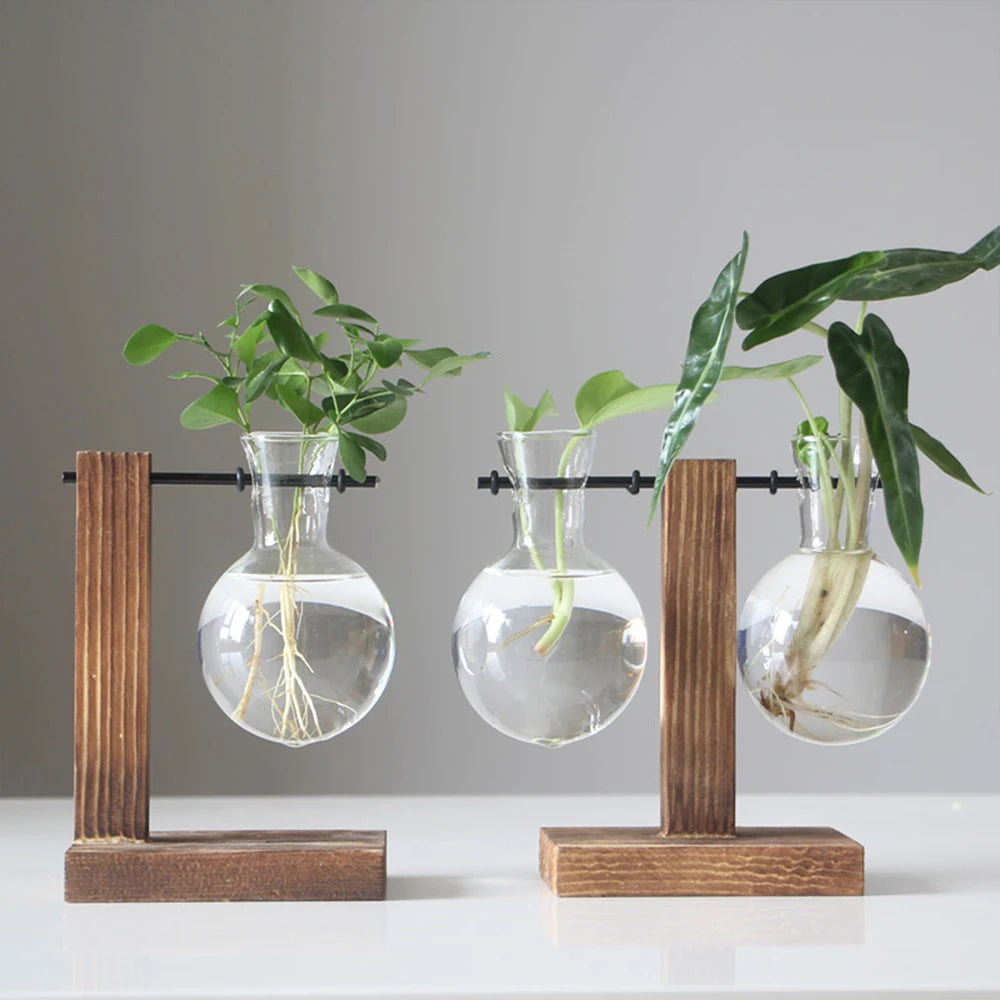 Glass Bulb Propagation Vase with Wooden Stand