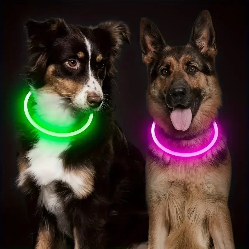 Rechargeable LED Dog Collar – Cut-to-Fit Glow Safety Ring
