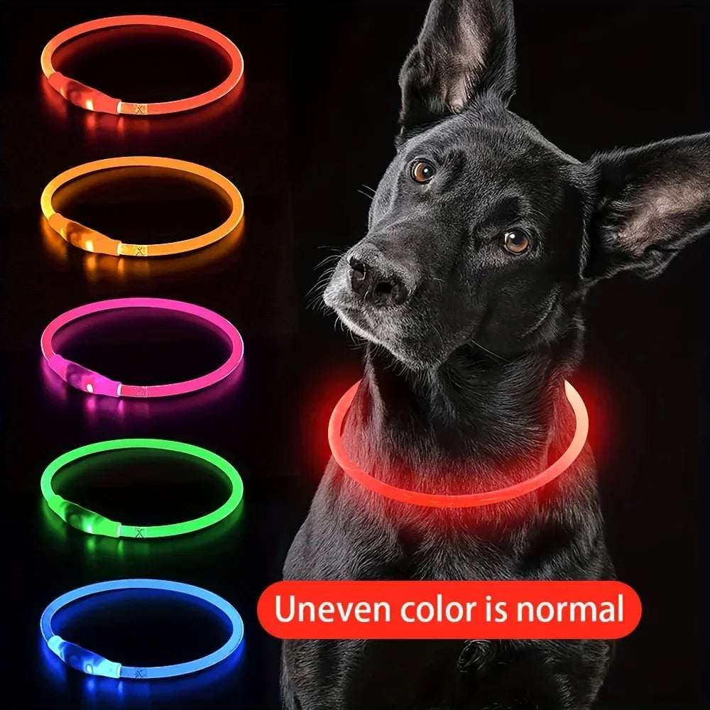 Rechargeable LED Dog Collar – Cut-to-Fit Glow Safety Ring