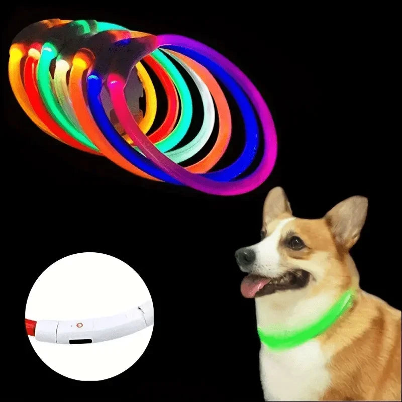 Rechargeable LED Dog Collar – Cut-to-Fit Glow Safety Ring