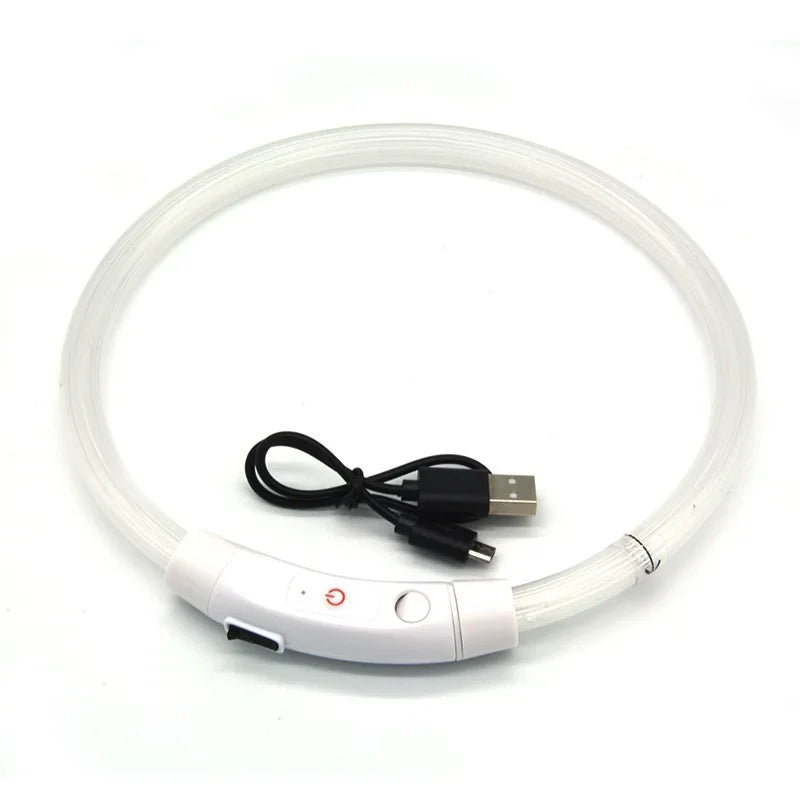 Rechargeable LED Dog Collar – Cut-to-Fit Glow Safety Ring