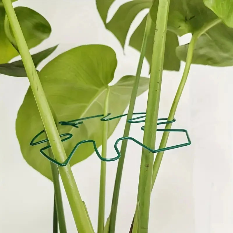 Plant support ring, green