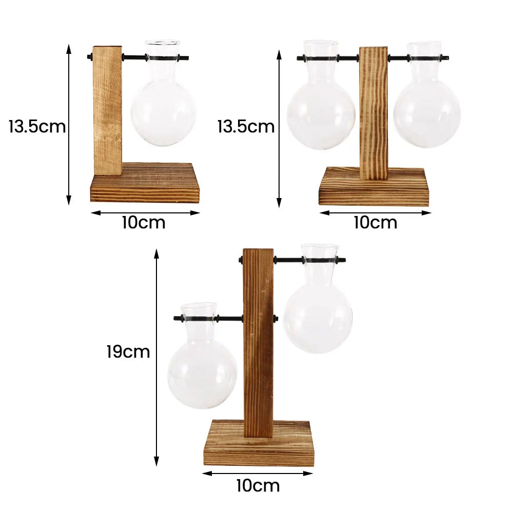 Glass Bulb Propagation Vase with Wooden Stand