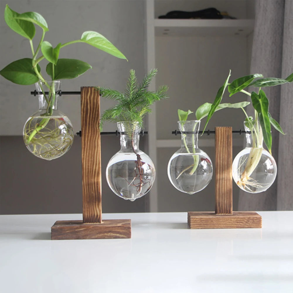 Glass Bulb Propagation Vase with Wooden Stand