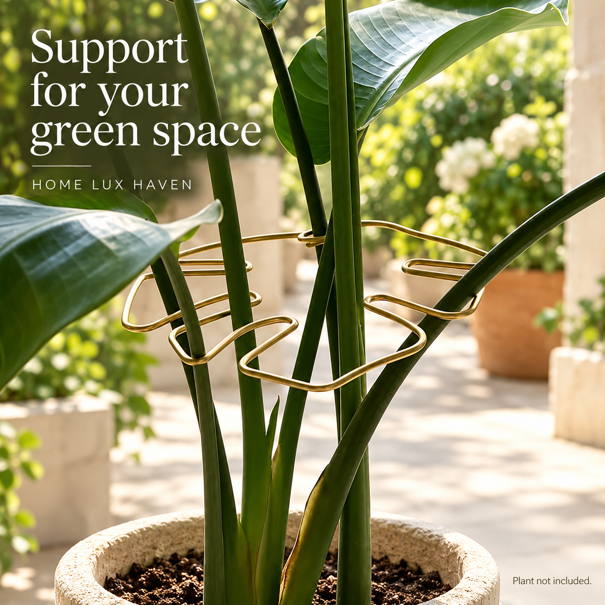 Adjustable Iron Garden Plant Support Ring – Stake for Tall Stems & Climbing Plants - advertising image 01