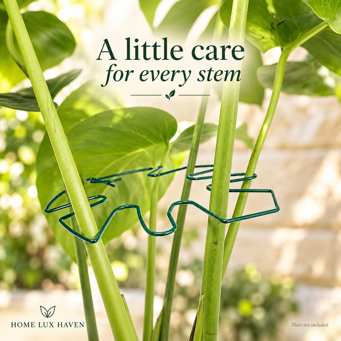 Adjustable Iron Garden Plant Support Ring – Stake for Tall Stems & Climbing Plants - advertising image 01