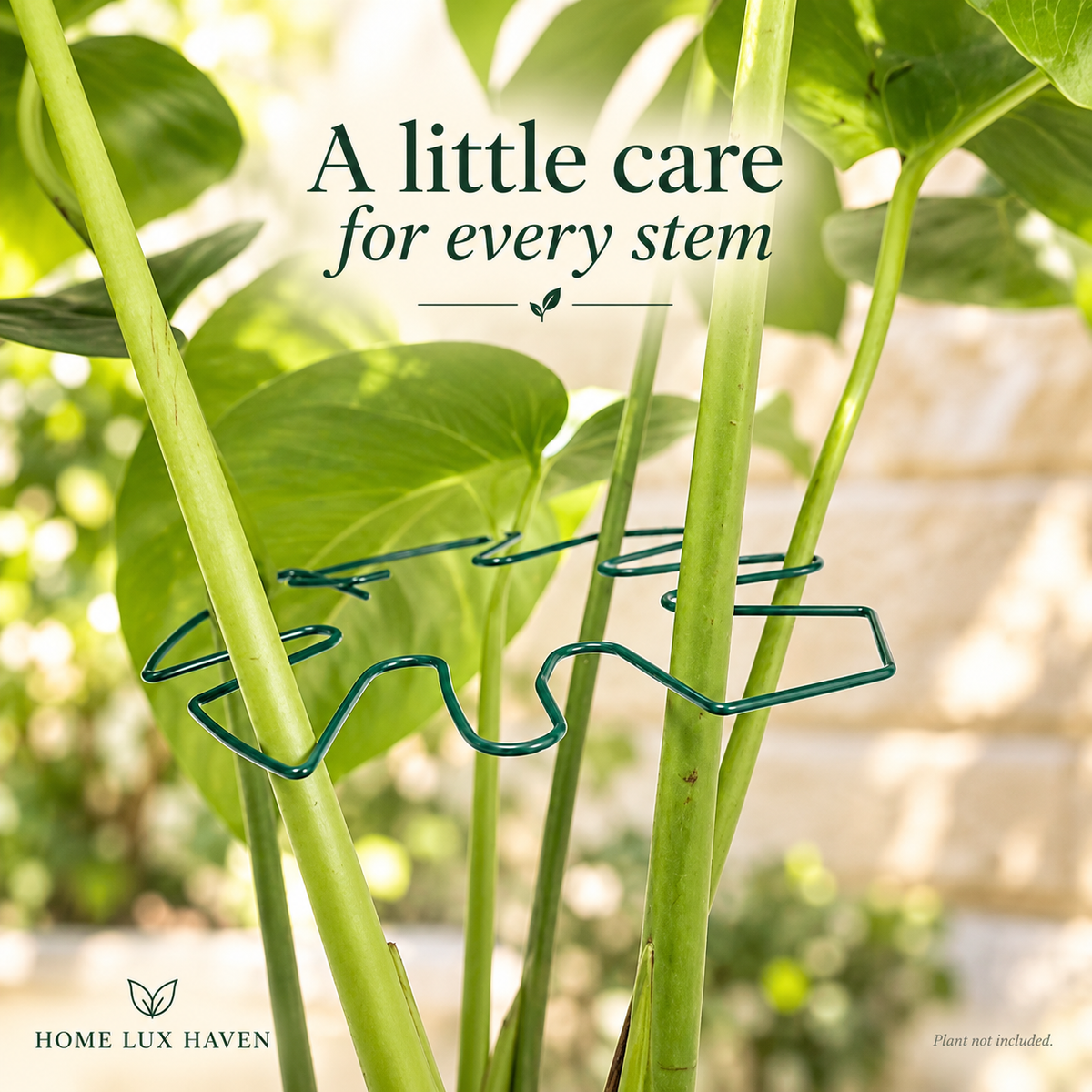 Adjustable Iron Garden Plant Support Ring – Stake for Tall Stems & Climbing Plants - advertising image 02