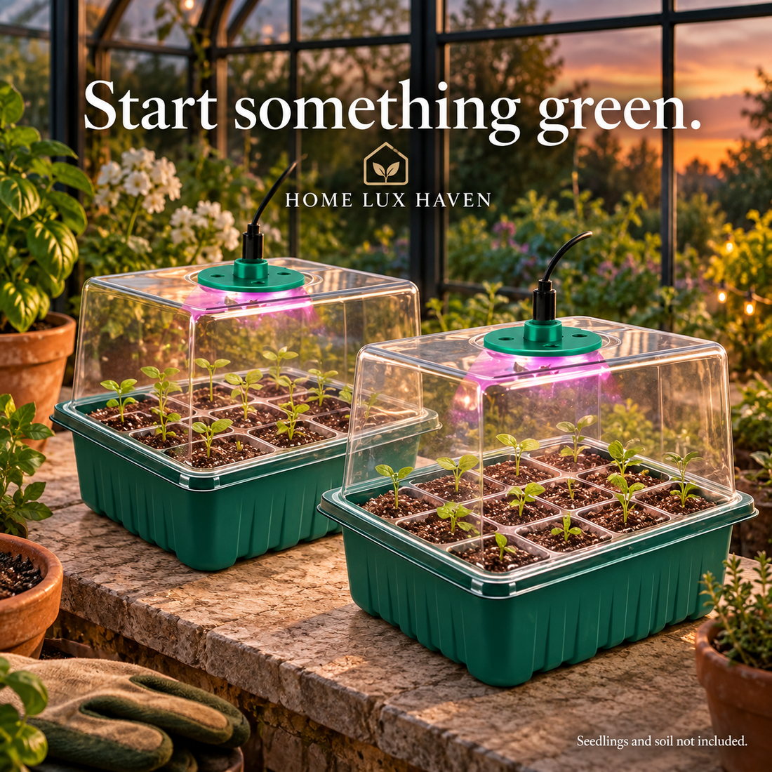 Seed Starter Kit with Grow Light & Humidity Dome (2-Pack) - advertising image 01