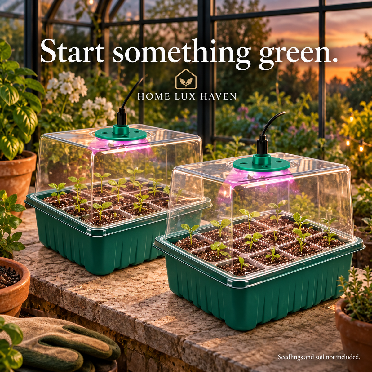 Seed Starter Kit with Grow Light & Humidity Dome (2-Pack) - advertising image 02