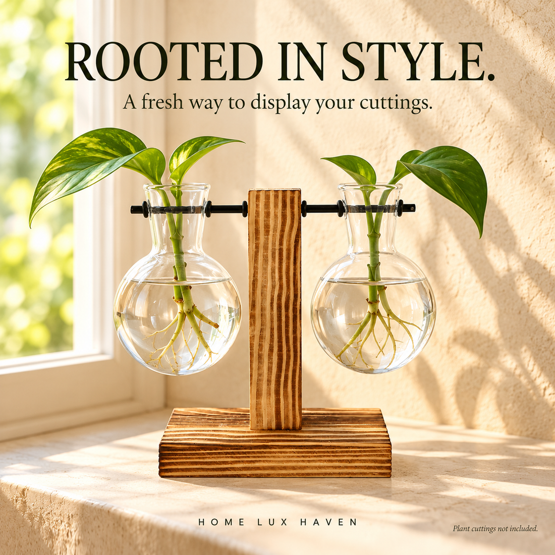 Glass Bulb Propagation Vase with Wooden Stand - advertising image 01