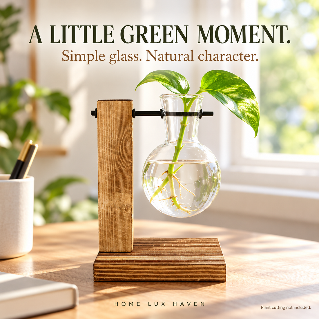 Glass Bulb Propagation Vase with Wooden Stand - advertising image 01